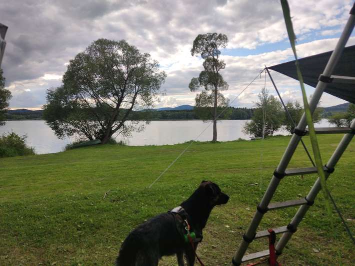 Camping Olšina