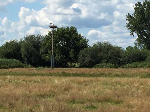 Added a photo to a location