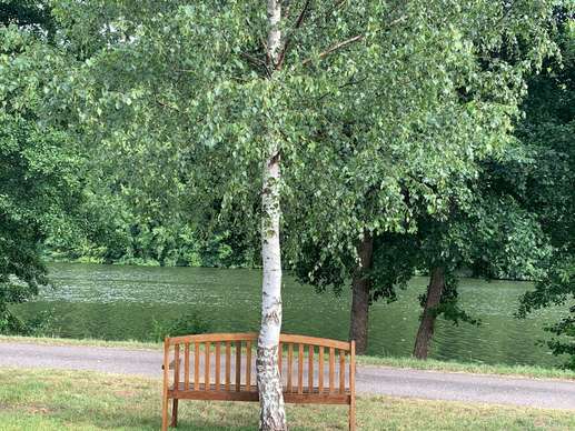 Added a photo to a location