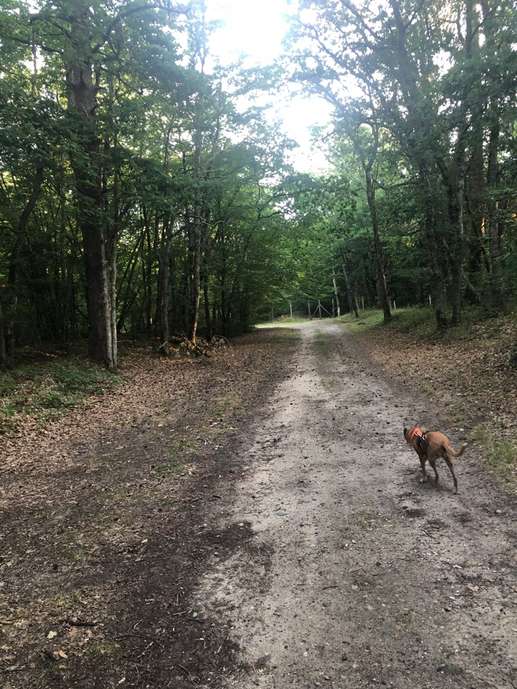 Aggiunta una foto a una posizione
