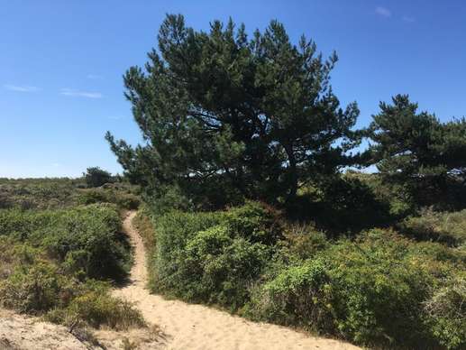 Een foto toegevoegd aan een locatie
