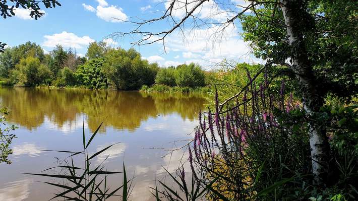 Etang de la Ville