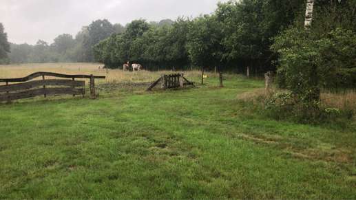 Een foto toegevoegd aan een locatie