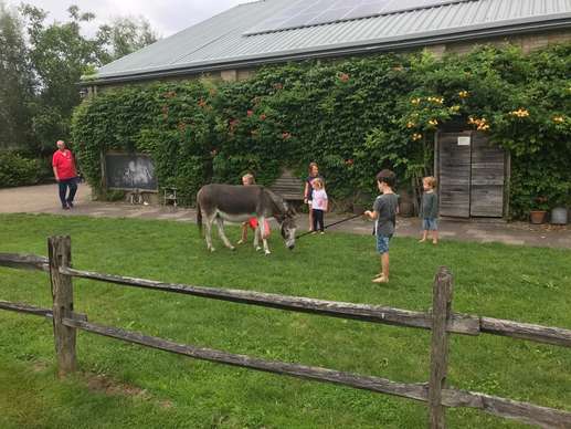 Een foto toegevoegd aan een locatie