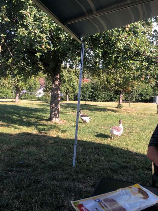 Einem Ort wurde ein Foto hinzugefügt