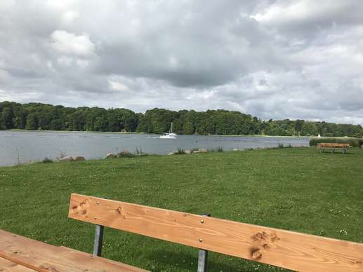 Een foto toegevoegd aan een locatie
