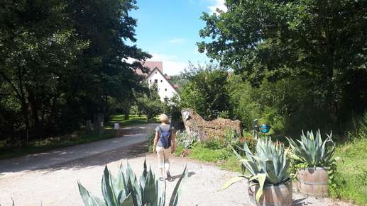 Een foto toegevoegd aan een locatie