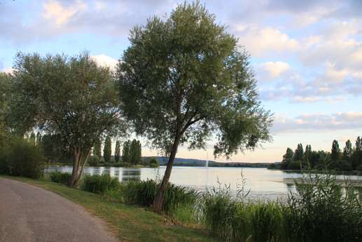 Added a photo to a location