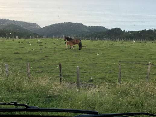 Aggiunta una foto a una posizione