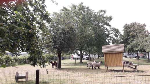 Aggiunta una foto a una posizione