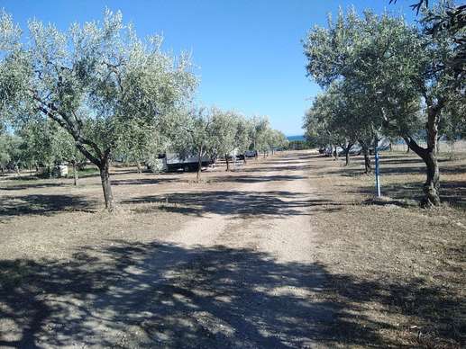 Aggiunta una foto a una posizione