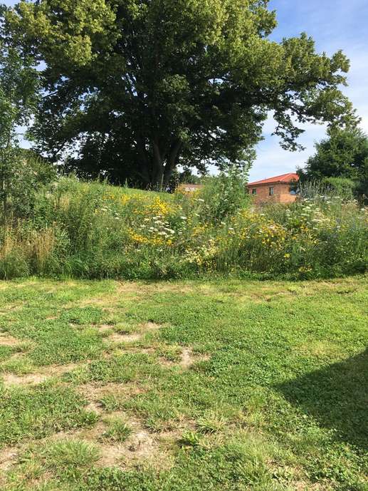 Added a photo to a location