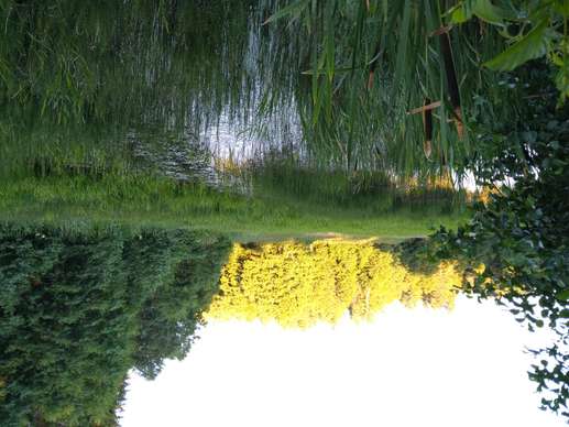 Added a photo to a location