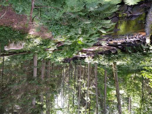 Added a photo to a location