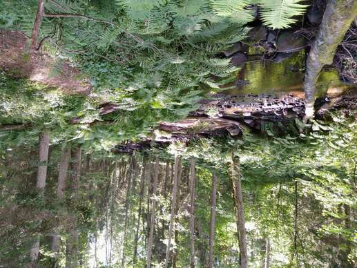 Added a photo to a location