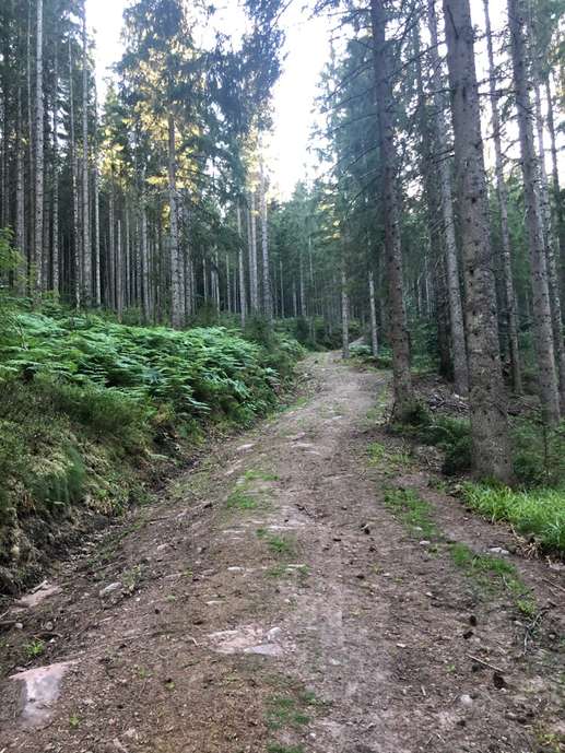 Added a photo to a location