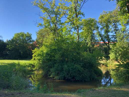 Added a photo to a location