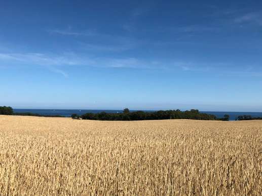 Added a photo to a location