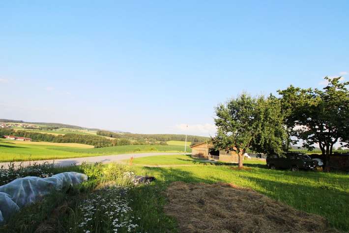 Stellplatz im Grünen