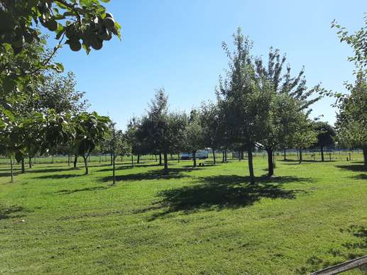 Added a photo to a location