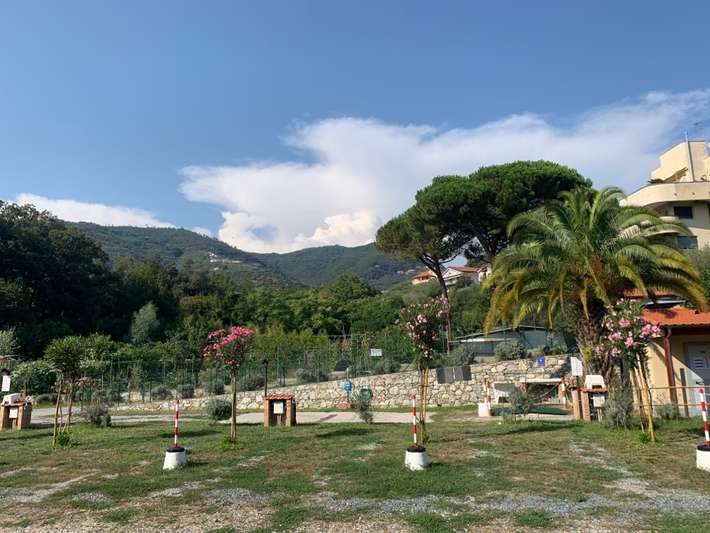 Area Comunale