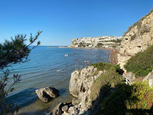 Added a photo to a location