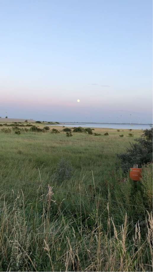 Een foto toegevoegd aan een locatie
