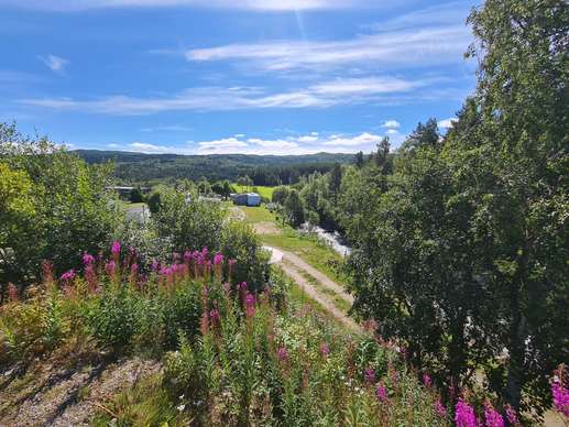 Een foto toegevoegd aan een locatie