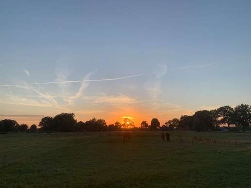 Een foto toegevoegd aan een locatie