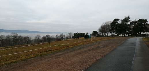 Added a photo to a location