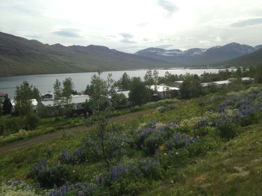 Added a photo to a location