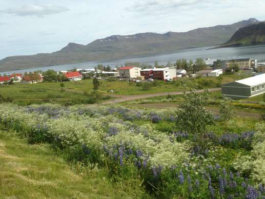 Added a photo to a location