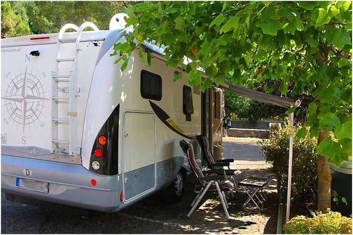 Area Comunale