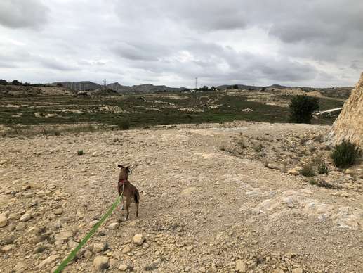 Ajout d'une photo à un emplacement