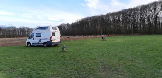 Een foto toegevoegd aan een locatie