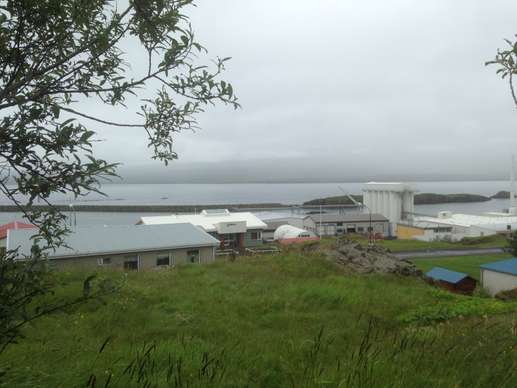 Added a photo to a location