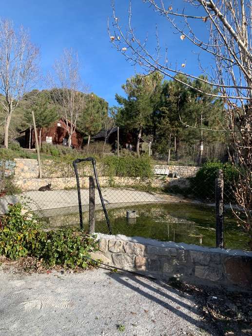 Added a photo to a location