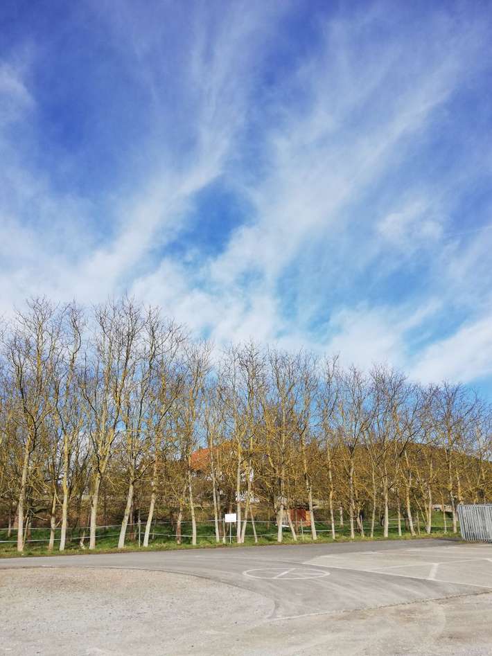 Campingplatz Maincamping
