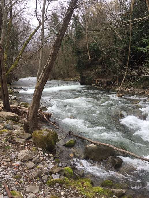 Added a photo to a location