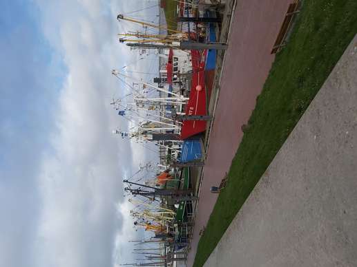 Added a photo to a location