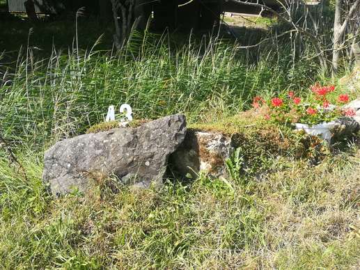Added a photo to a location