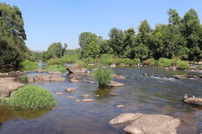 Amarante camping 