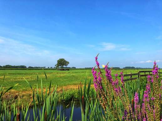 Een foto toegevoegd aan een locatie