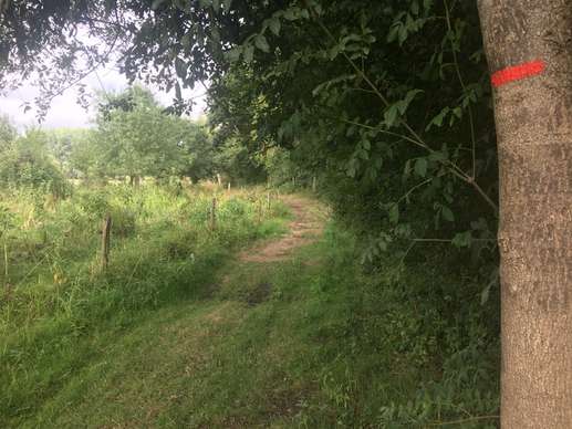 Een foto toegevoegd aan een locatie