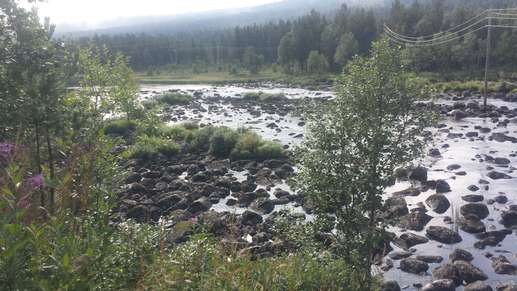 Added a photo to a location