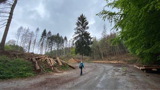 Einem Ort wurde ein Foto hinzugefügt