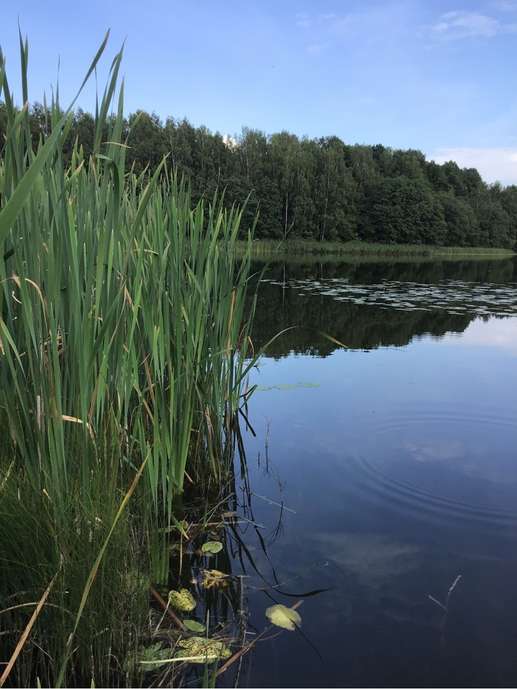 Een foto toegevoegd aan een locatie