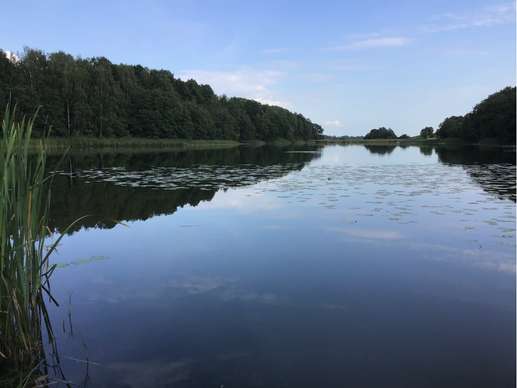 Een foto toegevoegd aan een locatie