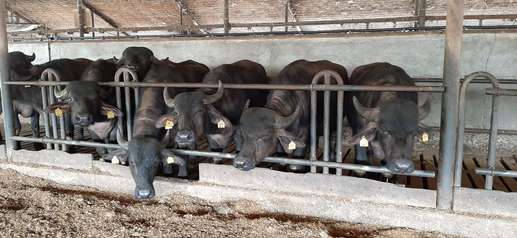 Aggiunta una foto a una posizione