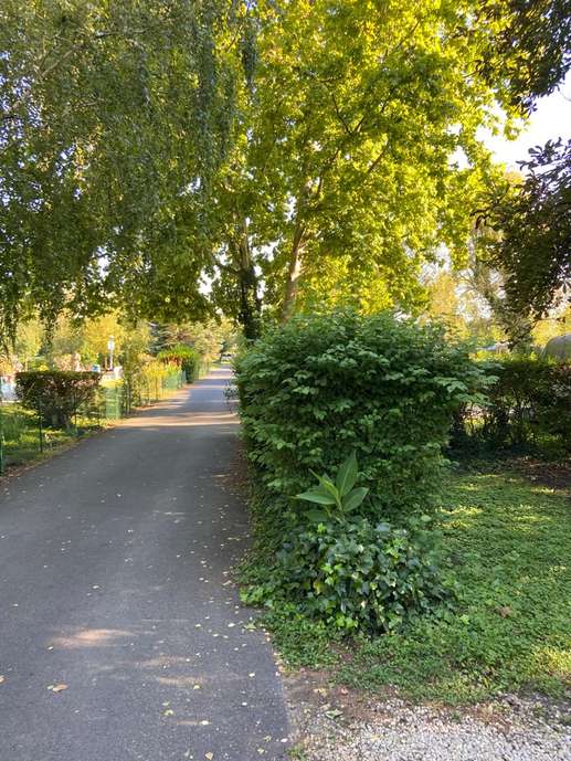 Een foto toegevoegd aan een locatie